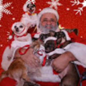 Meet your Posher, Summer